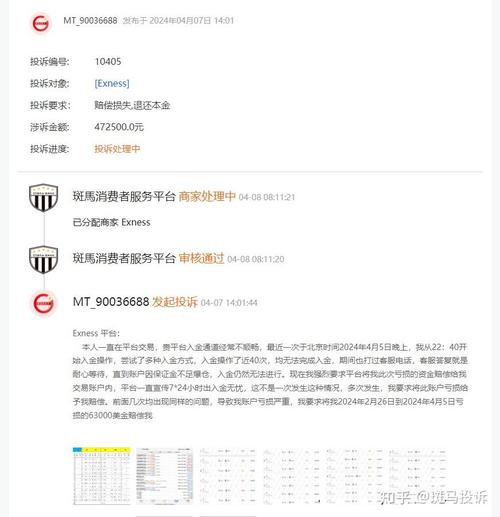 Analysis of Deposit Issues on Exness Platform: How Investors Can Deal with the Challenge of Restricted Deposits